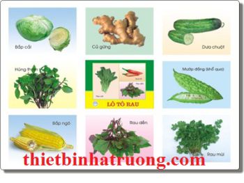 Lô tô động vật